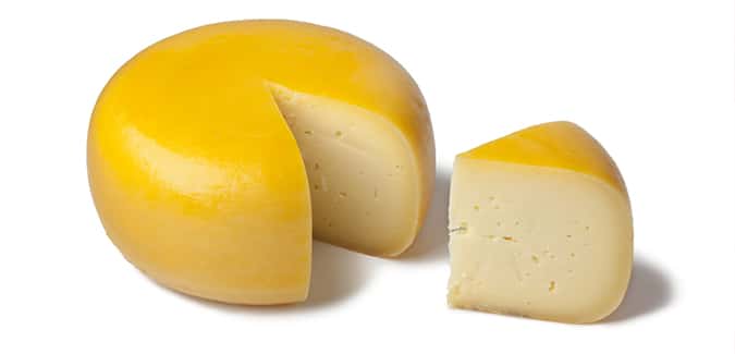gouda