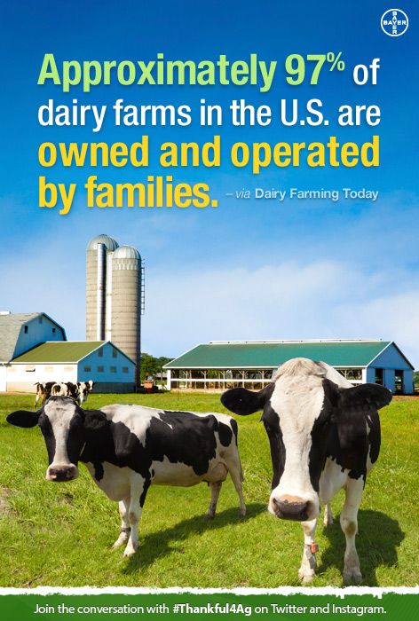 3592001eccab49259df1af9e5ee05025-the-farm-dairy