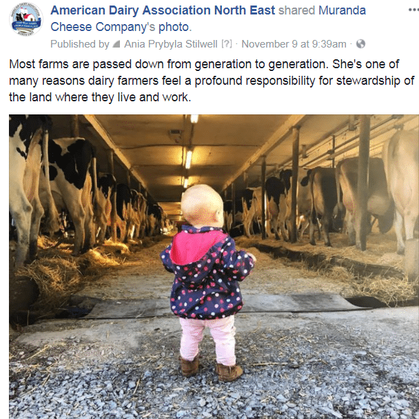 girl-in-barn-murandacheese2