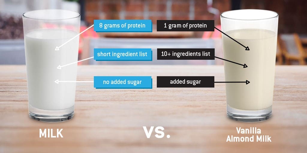 Milk vs almond milk infographic