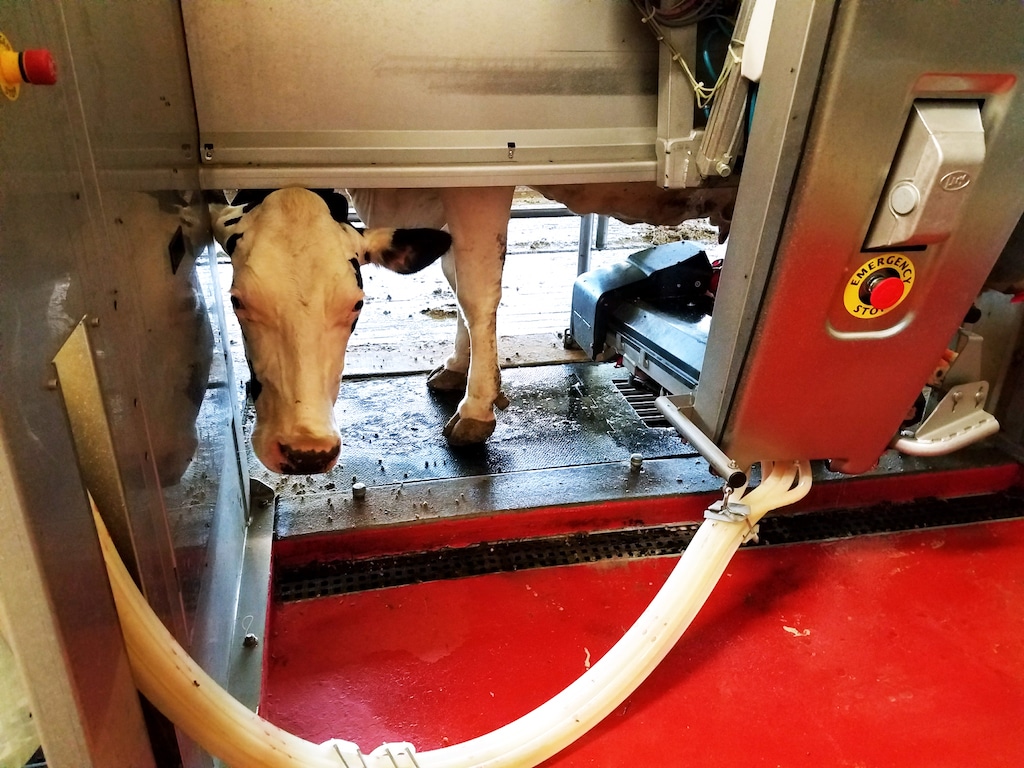 3 Things Moms Need to Know about Dairyâ€¦Farming