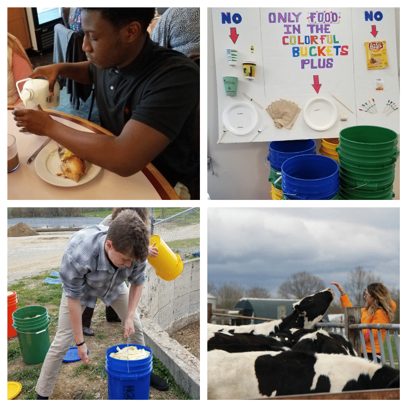 collage of dairy volunteers