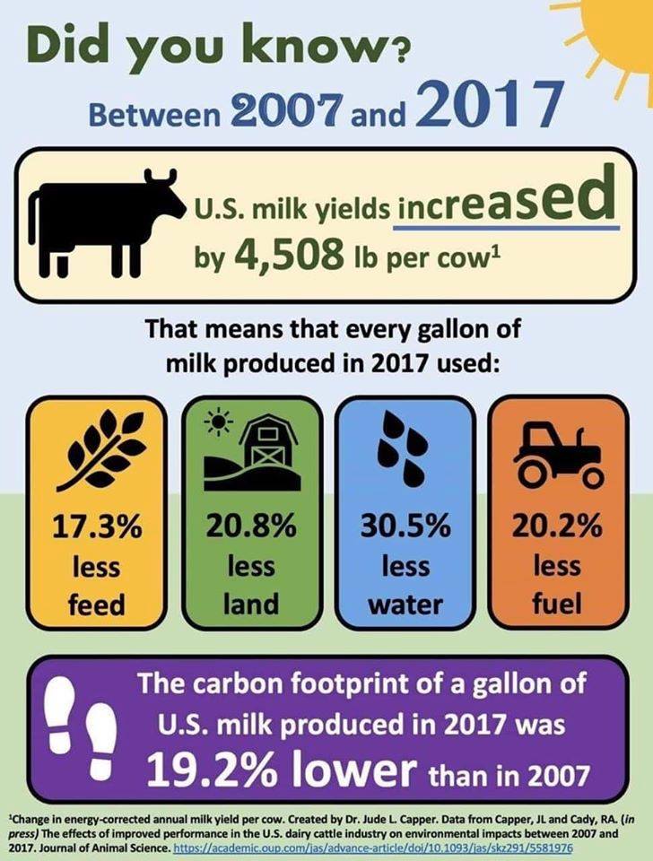 infographic of sustainability facts