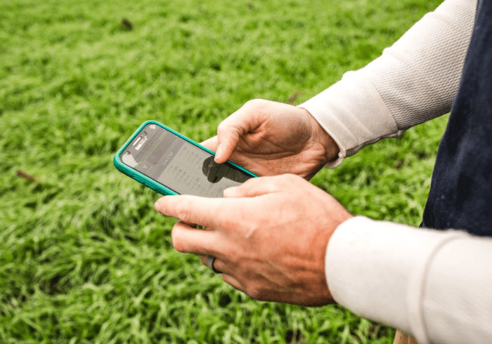 Man on his phone in a field