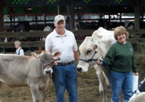 couple with dairy cows