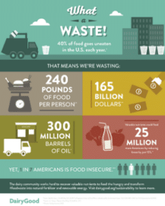 what a waste infographic
