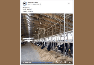'The Best Defense is a Good Offense' to Address Online Misinformation about the Dairy Industry