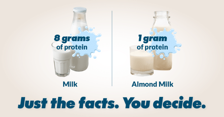 milk-protein-facts-american-dairy-association-ne