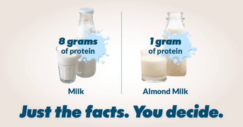 almond milk vs skim milk kids protein