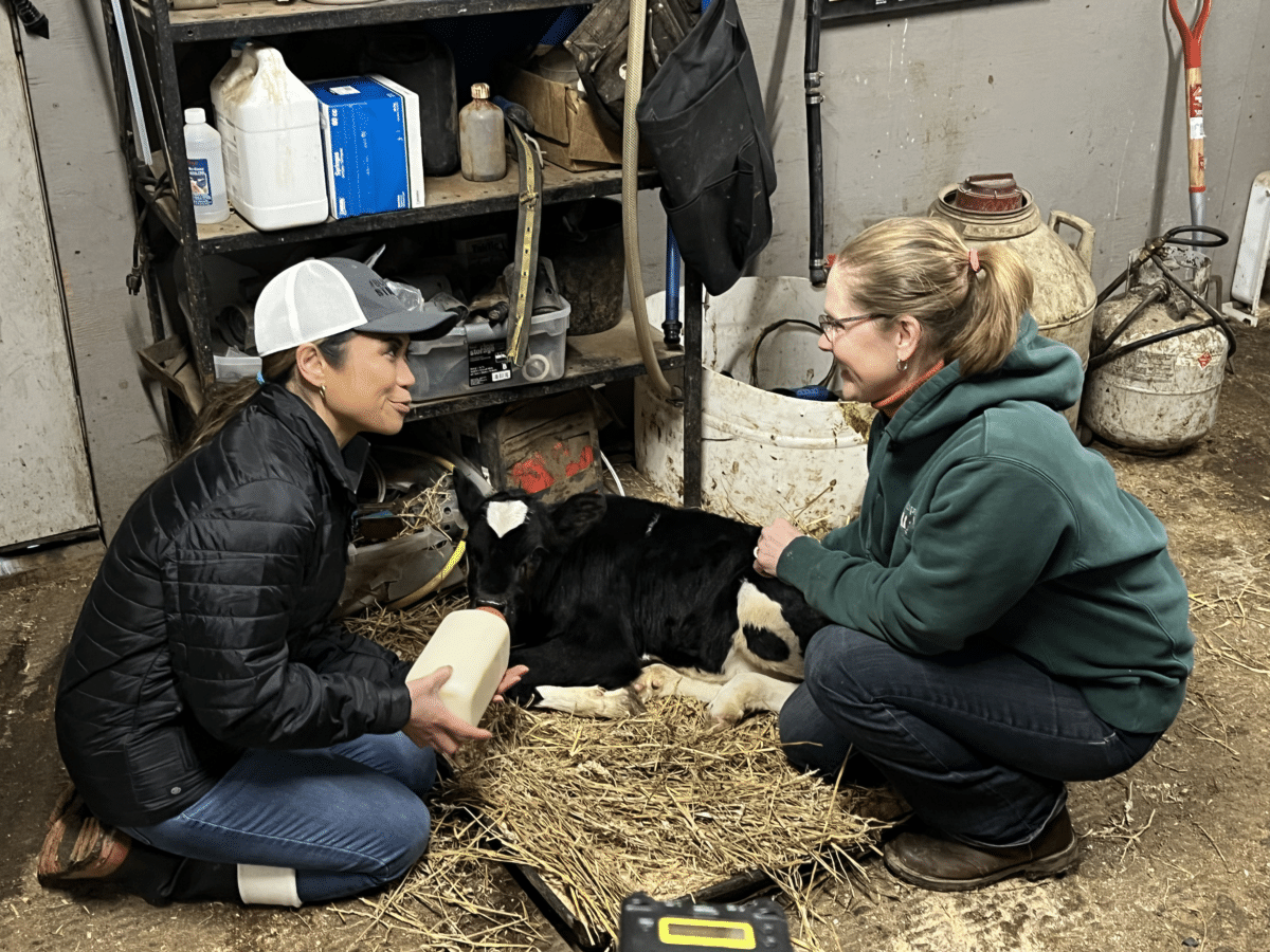 “Working It” on a Dairy Farm | American Dairy Association NE