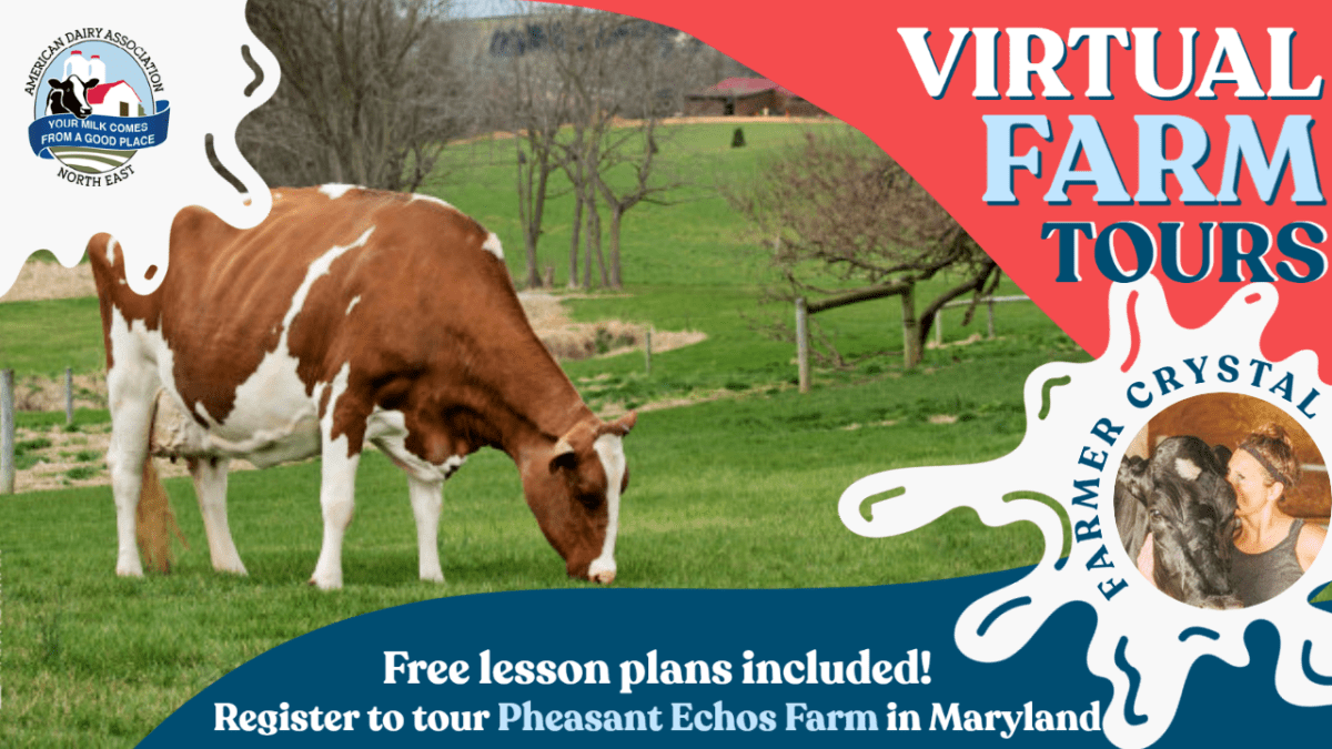 american dairy virtual farm tours