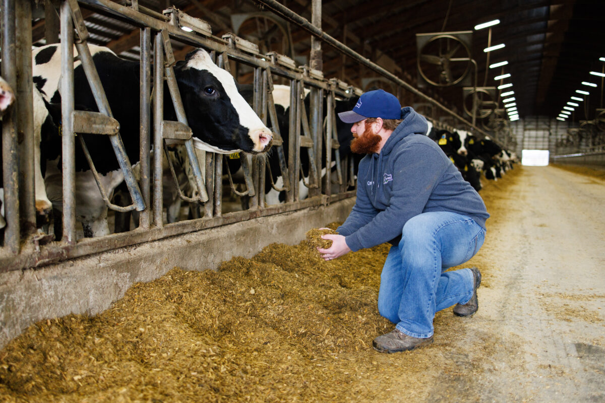 The Business of Dairy Farming | American Dairy Association NE