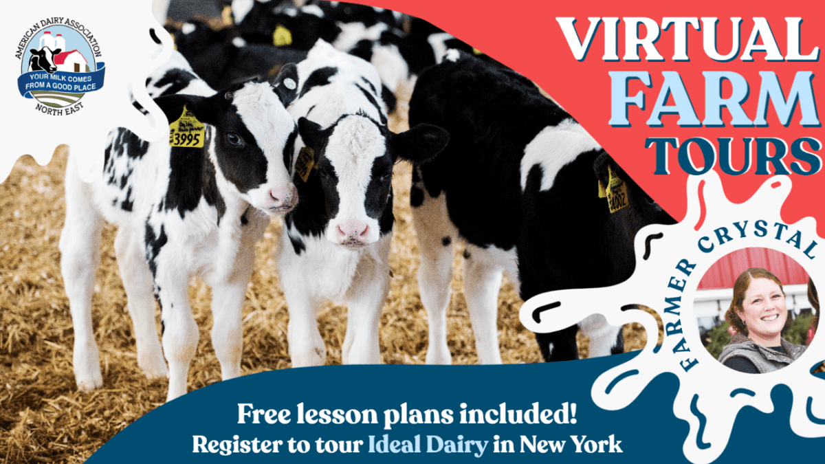 Virtual Farm Tours | American Dairy Association North East