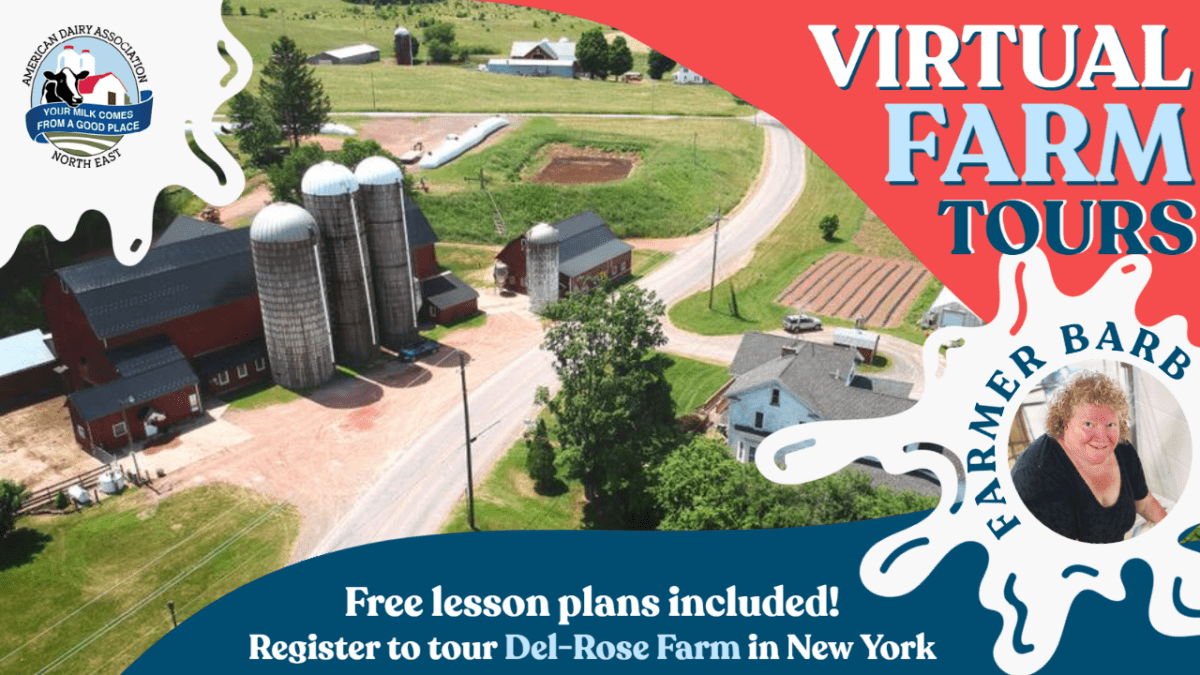 american dairy virtual farm tours