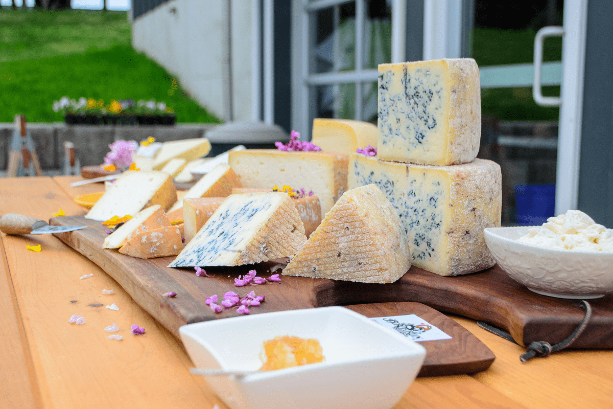 Pasture to Plate: How Sustainable Farming Fuels Flavorful Cheeses