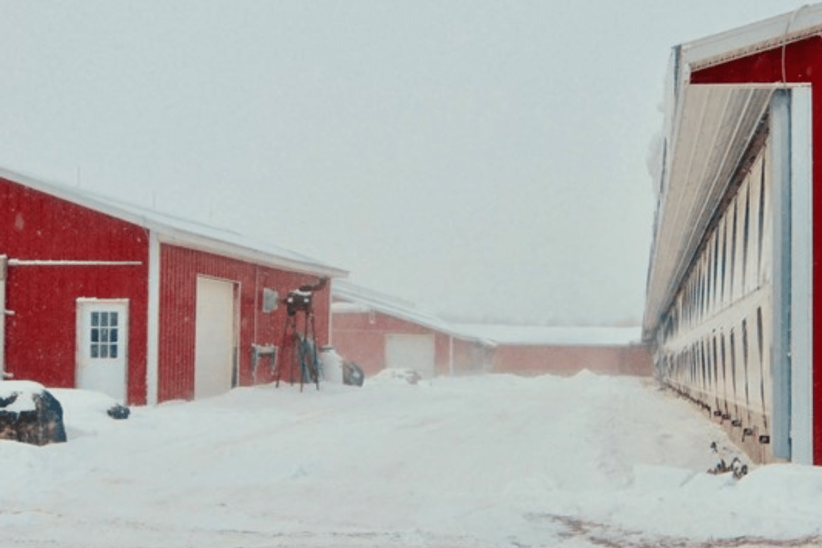 American Dairy Association North East Brings Immersive ‘Winter on the Farm’ Experience to the Strong National Museum of Play