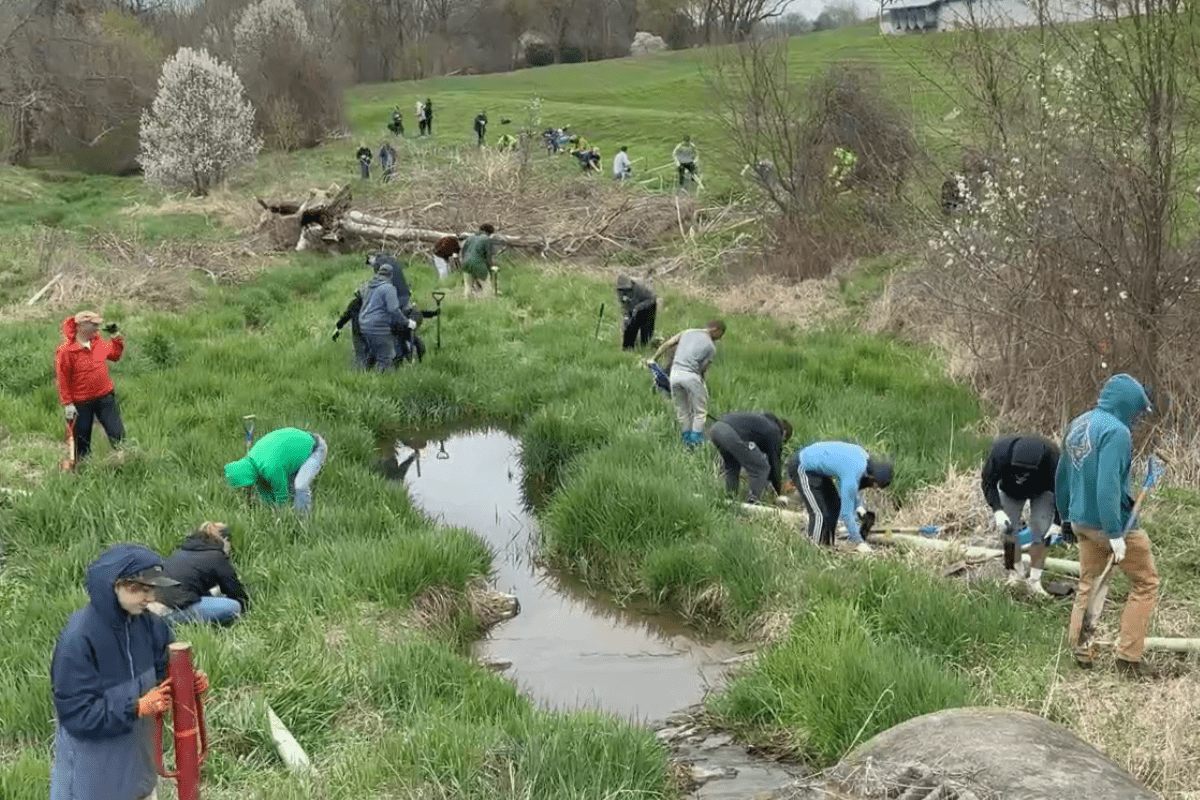 It’s Arbor Day & Pennsylvania Dairy Farmers are Planting Thousands of Trees!