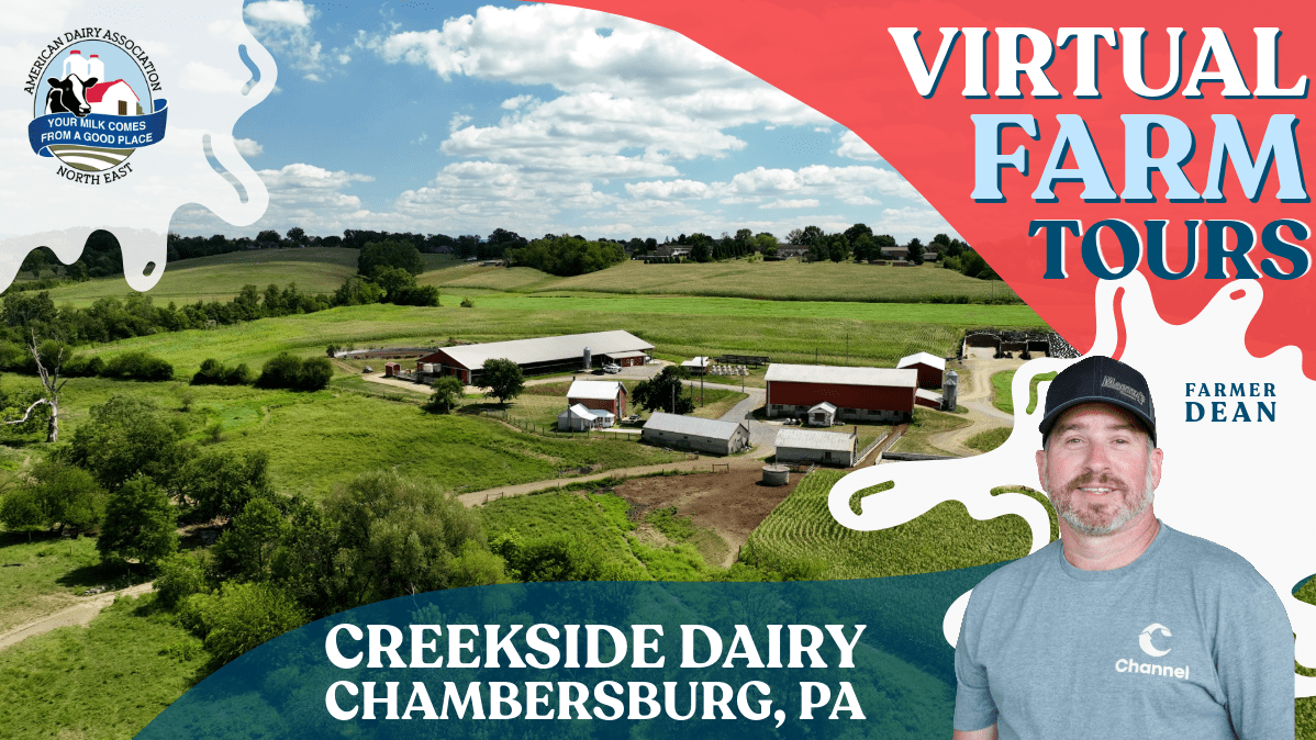 Dairy Checkoff News Coverage Recap: November 2025