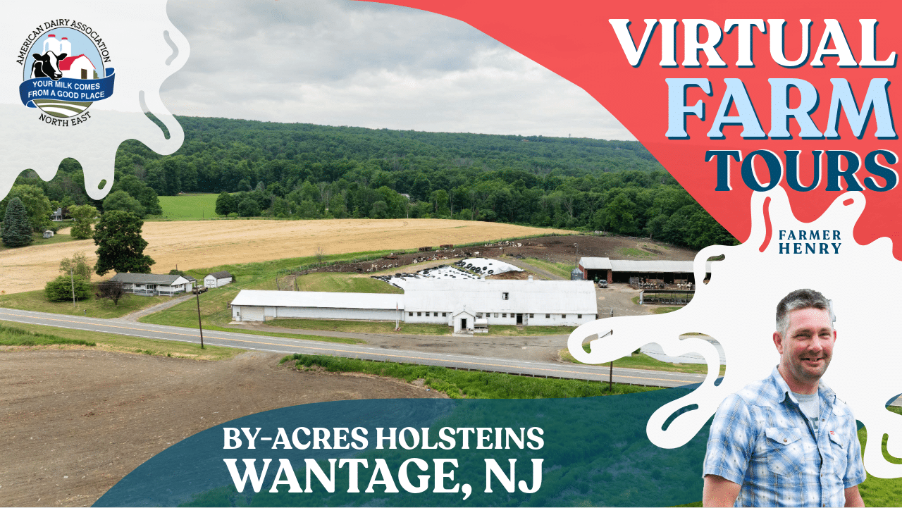 2026 Virtual Farm Tour – By-Acres Holsteins