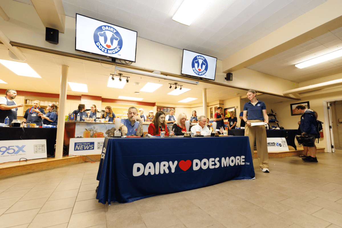 NYSF 2026 – Shake-Off – 6